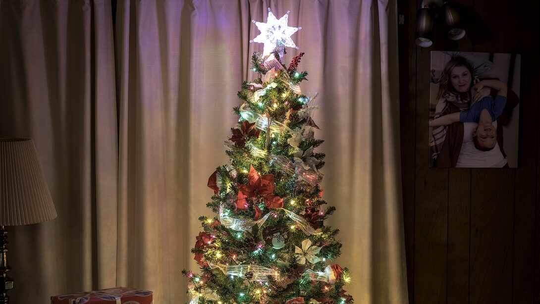 Albero di Natale finto o vero: quale scelta è più sostenibile per  l'ambiente 